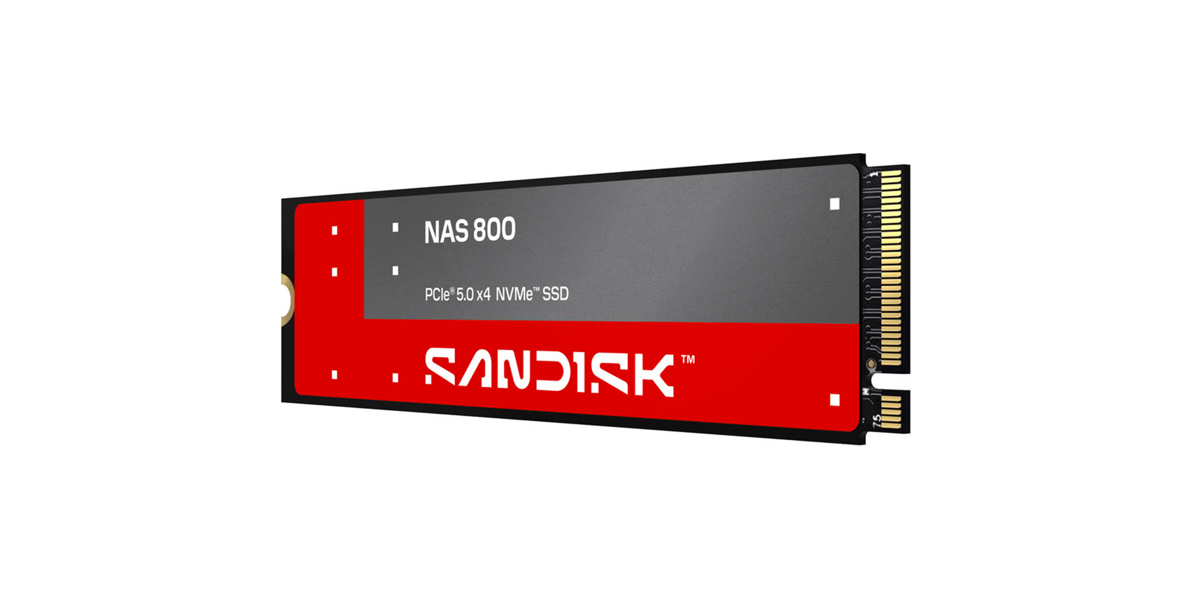Sandisk NAS 800 NVMe SSD