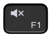 Image: F1 key
