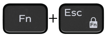 Image: Fn + Esc key