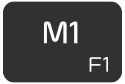 Image: F2 (Macro A)