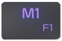 Image: fn + F1