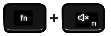 Function and F1 keys