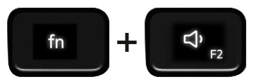 Function and F2 keys