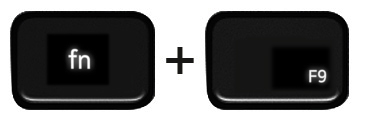 Function and F9 keys