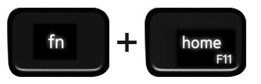Function and F9 keys