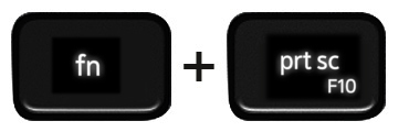 Function and Print Screen keys