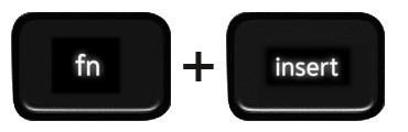 Function and Insert keys