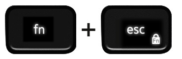 Function and Escape keys