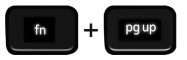 Function and up arrow keys