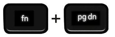 Function and down arrow keys