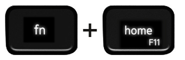 Function and left arrow keys