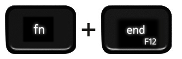 Function and right arrow keys