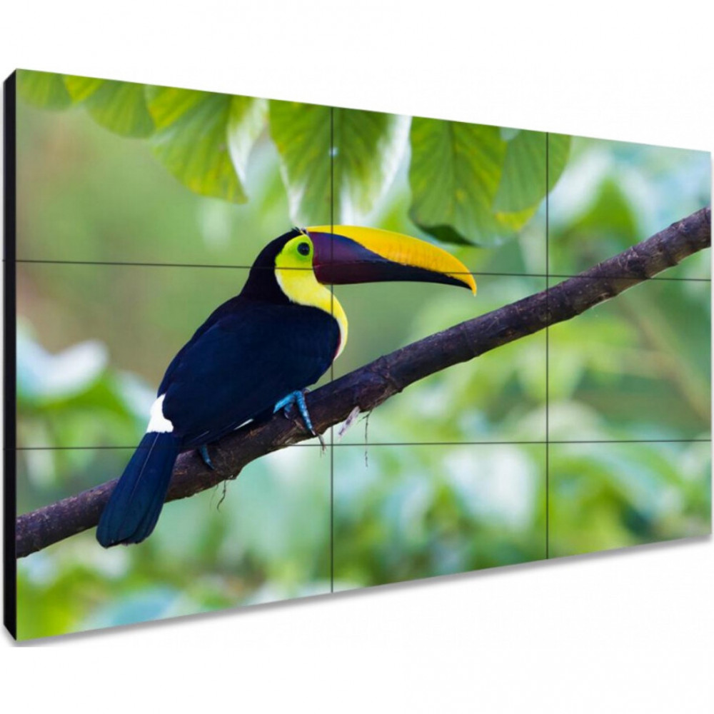 LED / LCD панель Exell EXPD-WA55AB15 55 " - миниатюра 2