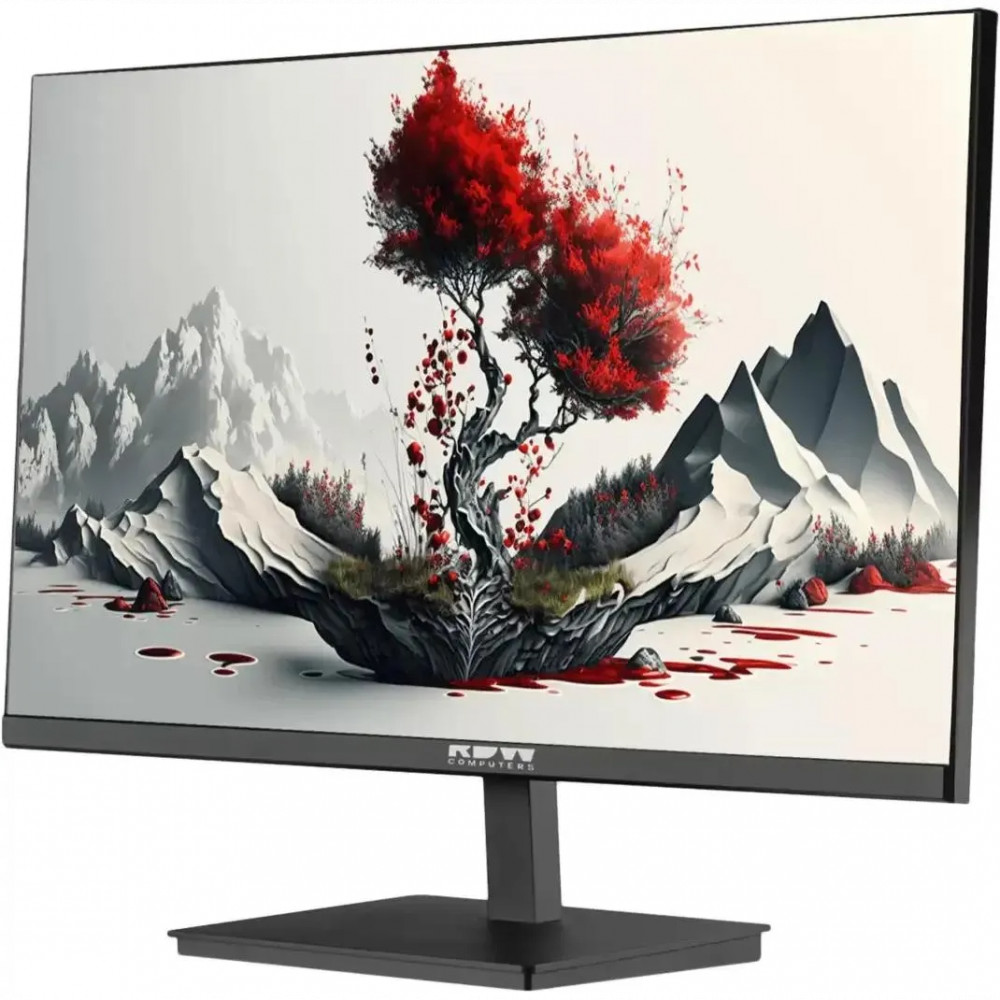 Монитор RDW Computers F00B3100V2A1H 2401K/F00B3100V2A1H 23.8 ", IPS, Full HD 1920x1080 (16:9), 100 Гц - миниатюра 6