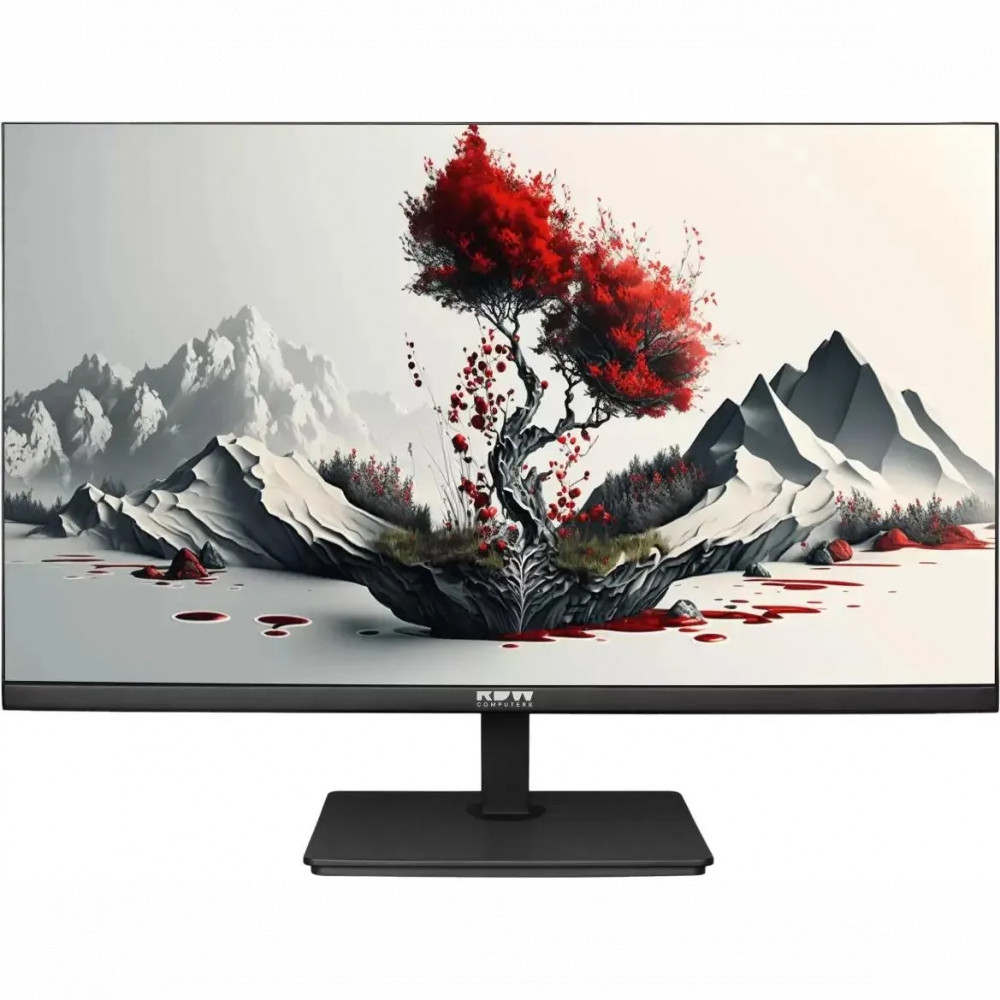 Монитор RDW Computers F00B0100V2A1H 2401K/F00B0100V2A1H 23.8 ", IPS, Full HD 1920x1080 (16:9), 100 Гц - миниатюра 4
