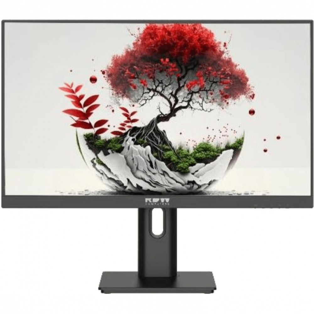 Монитор RDW Computers F08B3100V2A1A 2401K/F08B3100V2A1A 23.8 ", IPS, Full HD 1920x1080 (16:9), 100 Гц - миниатюра 4