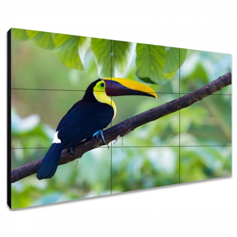 LED / LCD панель Exell EXPD-WI453AM 49 " - миниатюра 2