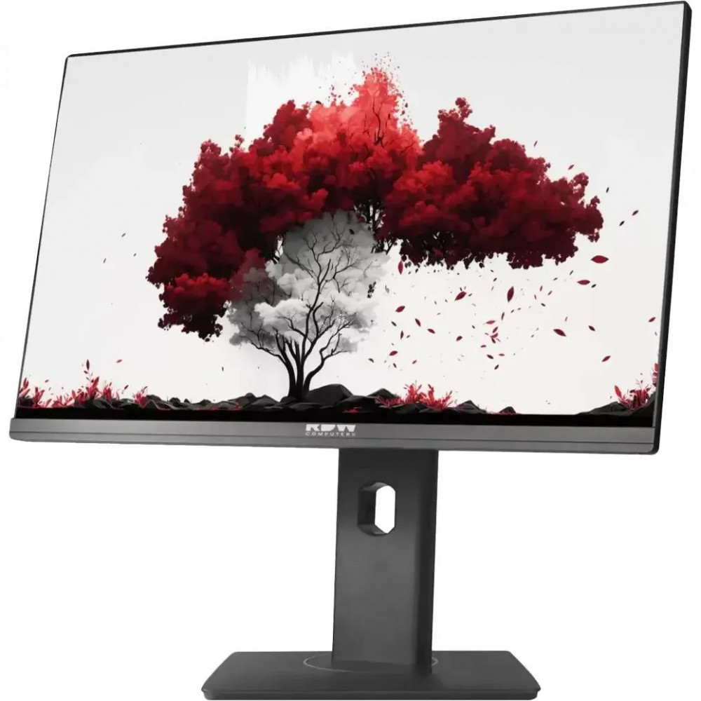 Монитор RDW Computers RDW2402K RDW2402K/F00B3 23.8 ", IPS, Full HD 1920x1080 (16:9), 75 Гц - миниатюра 6