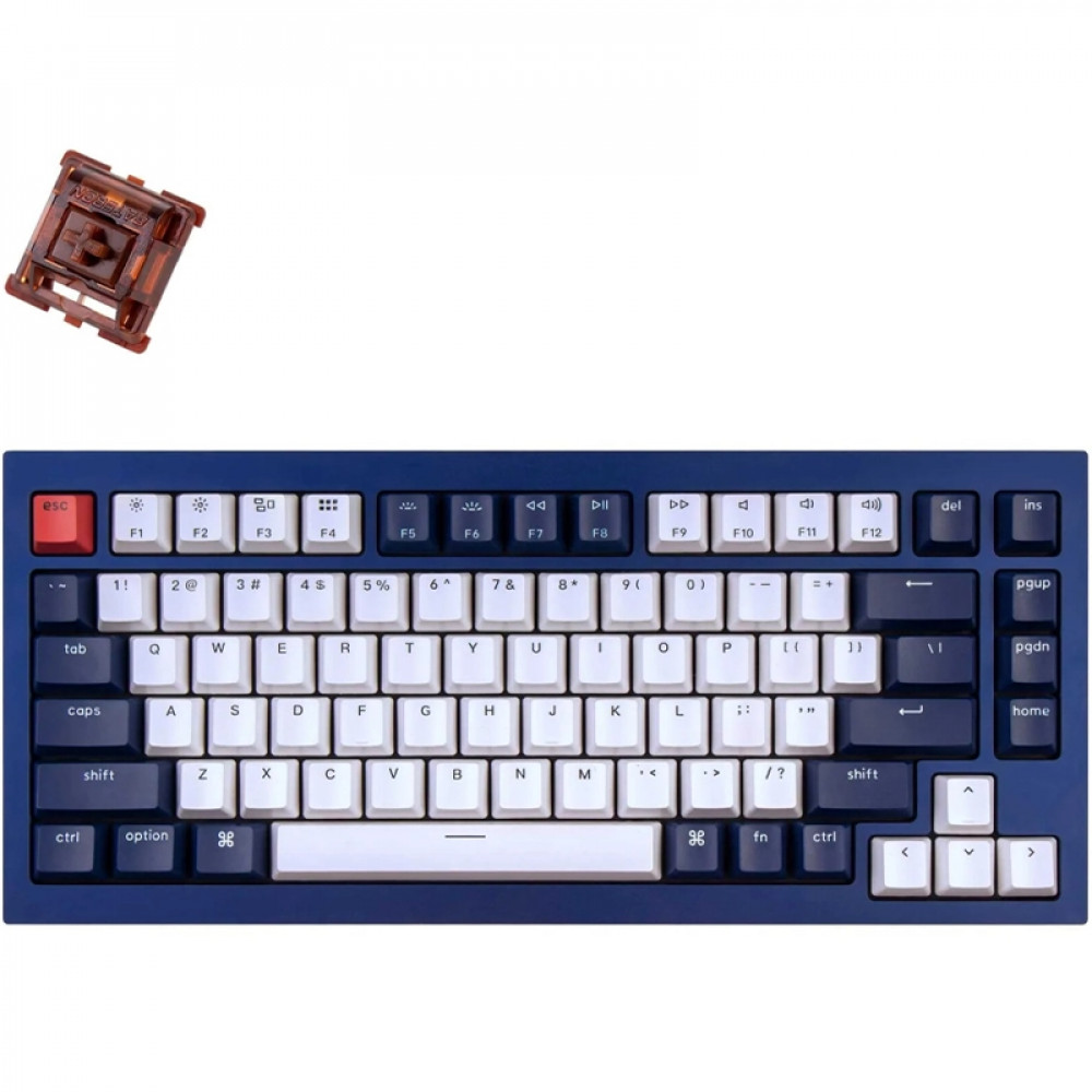 Клавиатура Keychron Blue Knob Brown Switch RGB Hot-Swap Gateron G pro Mechanical Q1O3_Keychron Проводная