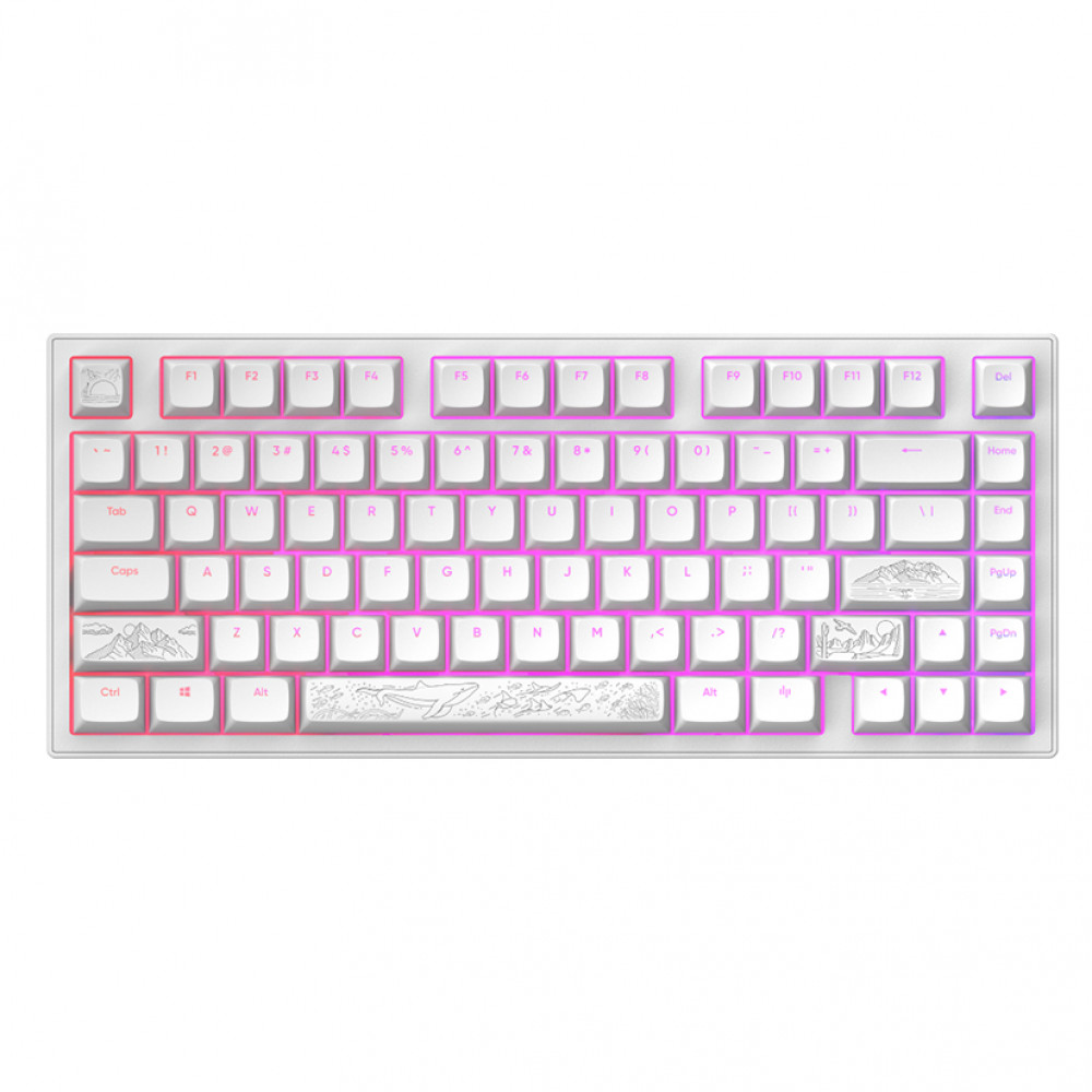 Клавиатура Dark Project Project ALU81A Terra Nostra White DPKB_NOSTRA_81_ANSI_WHITE Проводная, USB - миниатюра 4