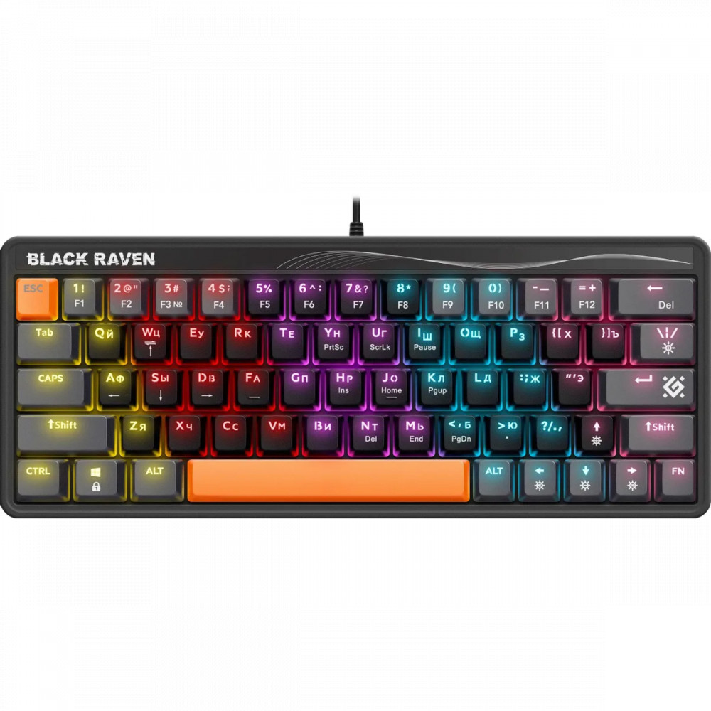 Клавиатура Defender Black Raven GK-417 RU 45414 Проводная, USB - миниатюра 3