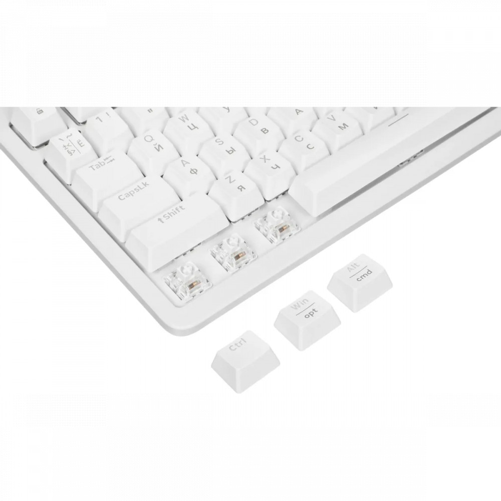 Клавиатура Logitech K868 920-013913 Беспроводная, Bluetooth - миниатюра 6