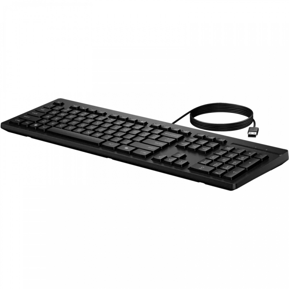 Клавиатура HP 125 G2 AY2Y7AA Проводная, USB - миниатюра 4