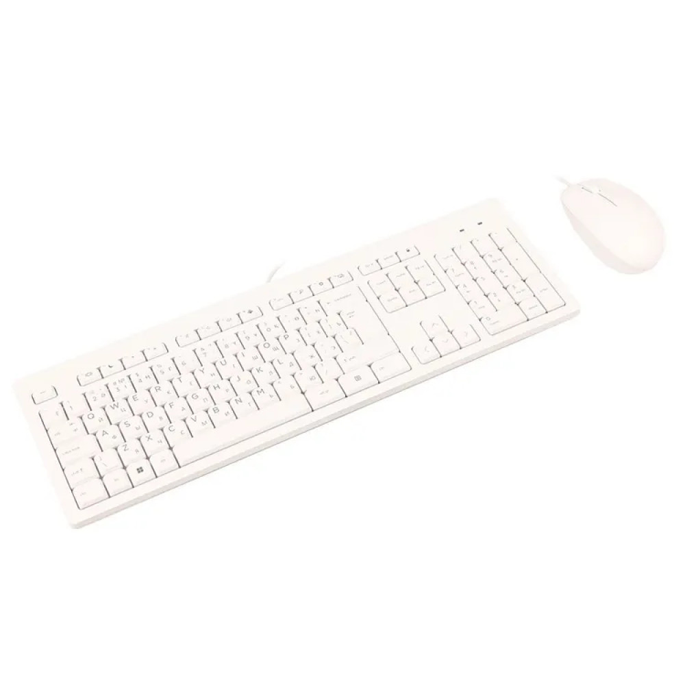 Моноблок HP ProOne All-in-One 240 G10 A1JM5ES 23.8, Intel, N-series, N300 - миниатюра 9